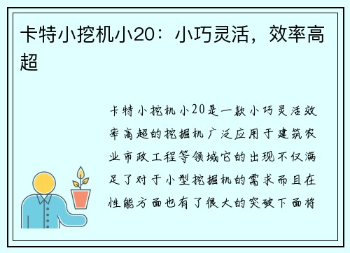 卡特小挖机小20：小巧灵活，效率高超